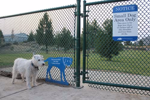 Dog Park at Hollinshead Park photo 1